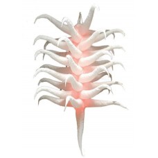 Inflatable LED Grape